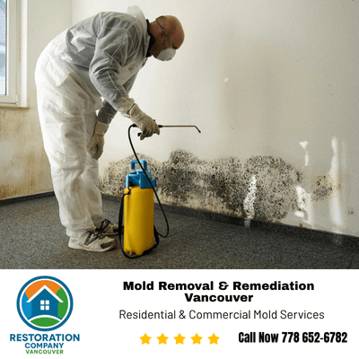 Mold Removal & Remediation